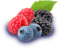 Bairies